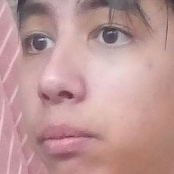 Meet your Posher, Toby - Picture 1 of 1